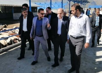 سفر مدیر عامل سازمان اتکا به استان لرستان