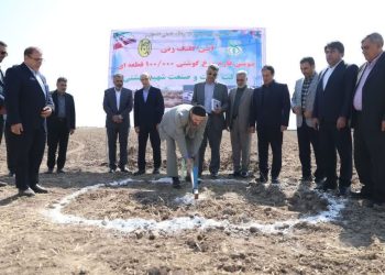 سید محمد حسینی نژاد سازمان اتکا در شهر دزفول ( شهرنمونه مقاومت کشور ) نمونه شد.