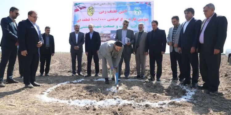 سید محمد حسینی نژاد سازمان اتکا در شهر دزفول ( شهرنمونه مقاومت کشور ) نمونه شد.