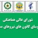 نقش پر رنگ سازمان اتکا در بهبود معیشت بازنشستگان