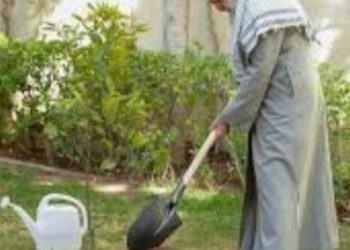 کاشت ۴۰ هکتار باغ پسته در اراضی چرمشهر ورامین