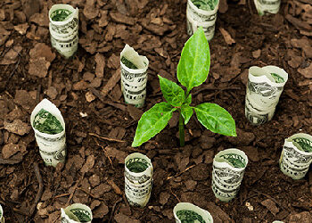 سرمایه‌گذاری کلان برای آینده سبز سیرجان