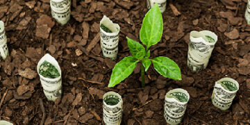 سرمایه‌گذاری کلان برای آینده سبز سیرجان